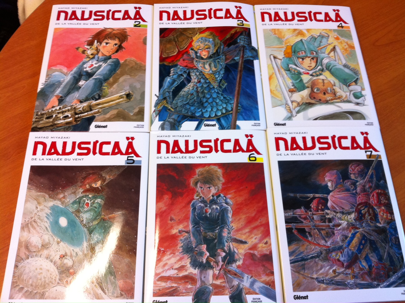 http://blog.sundvold.net/wp-content/uploads/2011/03/nausicaa-2-7-face.jpg