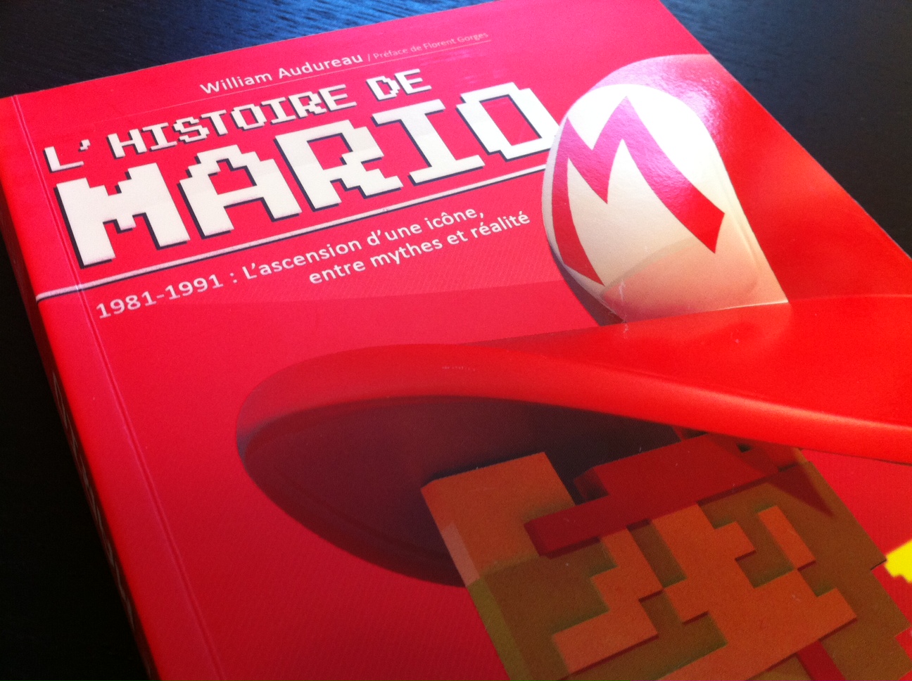 histoire de mario 1