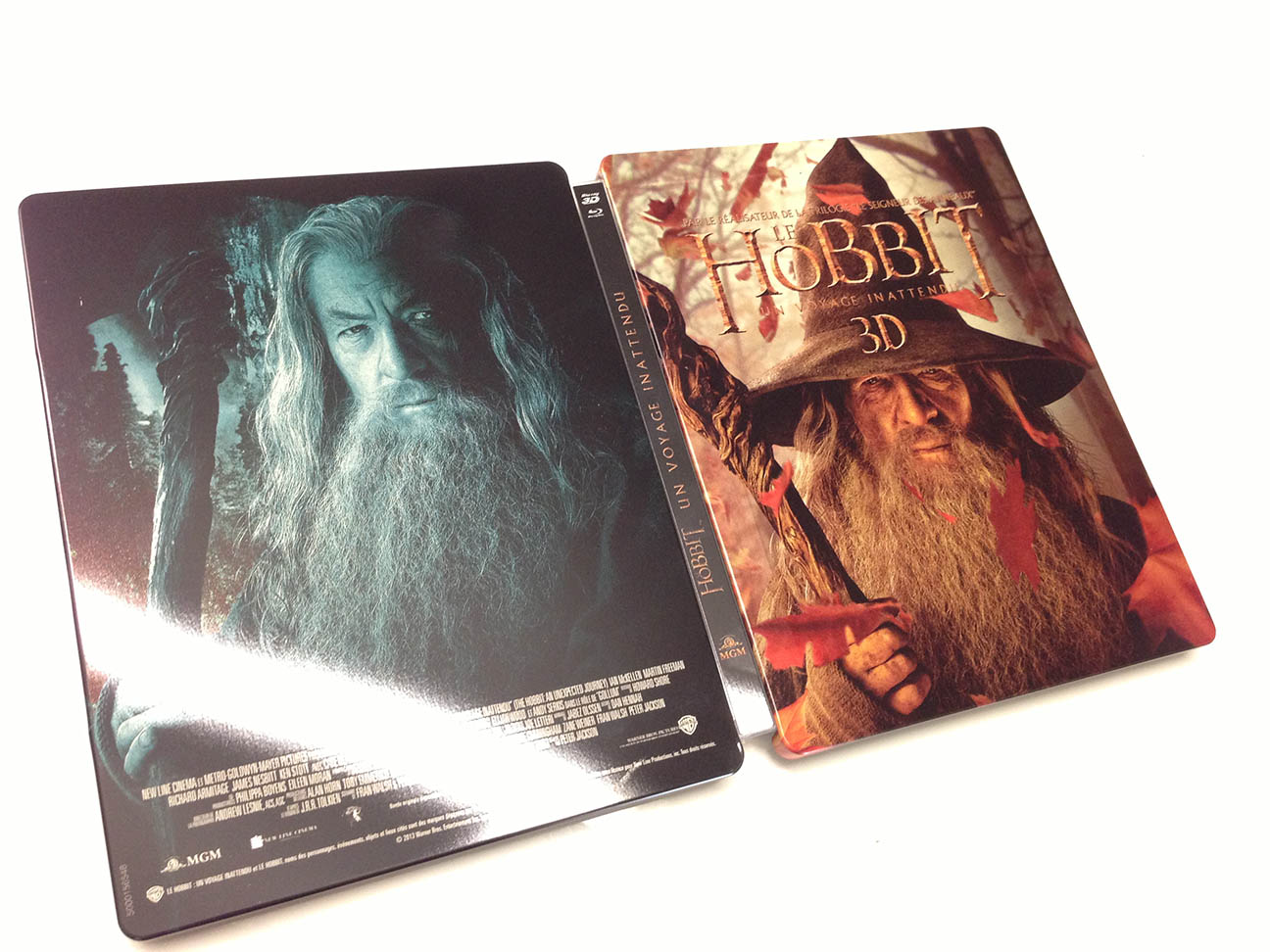 http://blog.sundvold.net/wp-content/uploads/2013/04/the-hobbit-steelbook-6.jpg